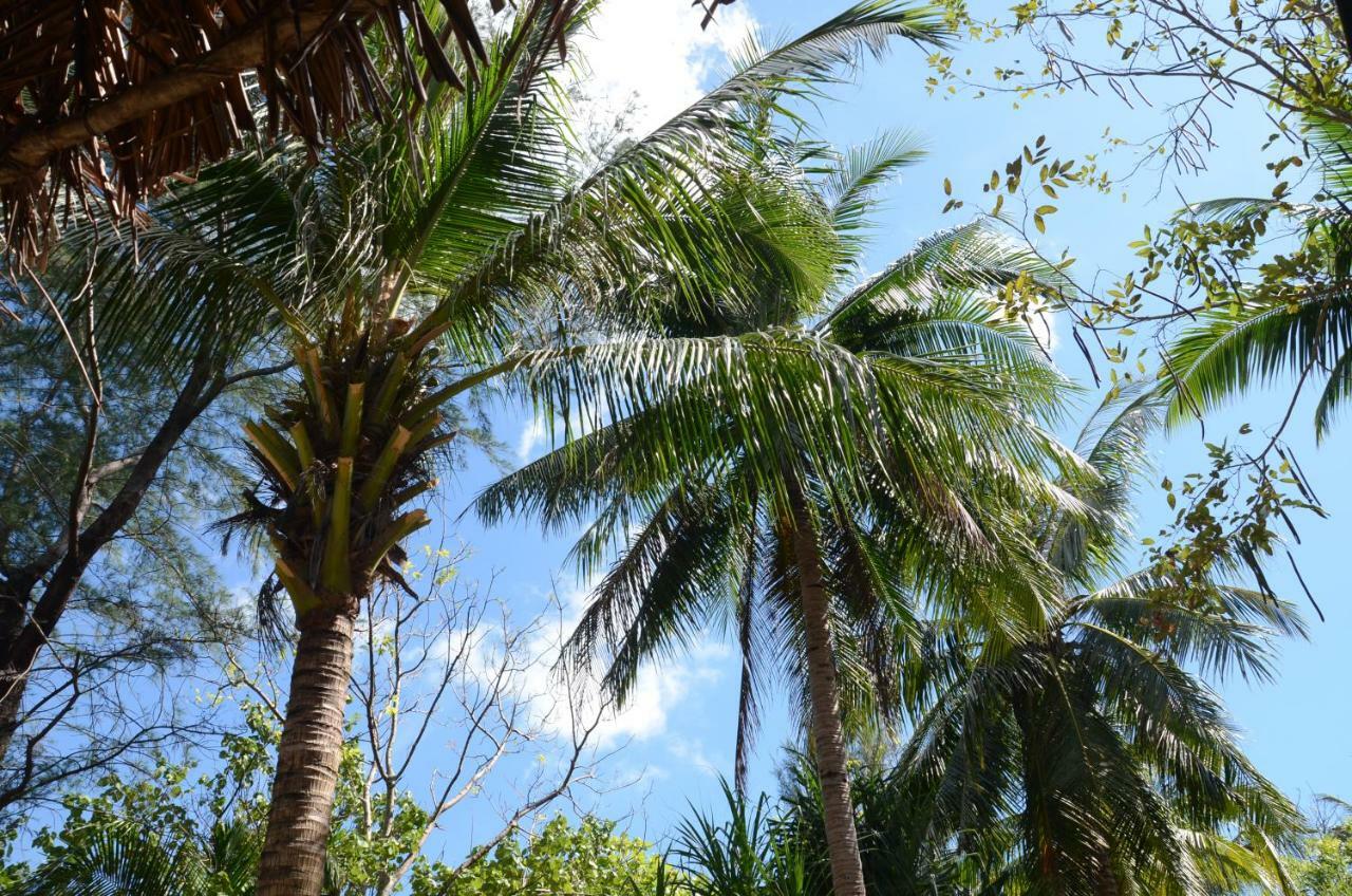 Reggae Island Private Island Koh Phayam Exterior foto