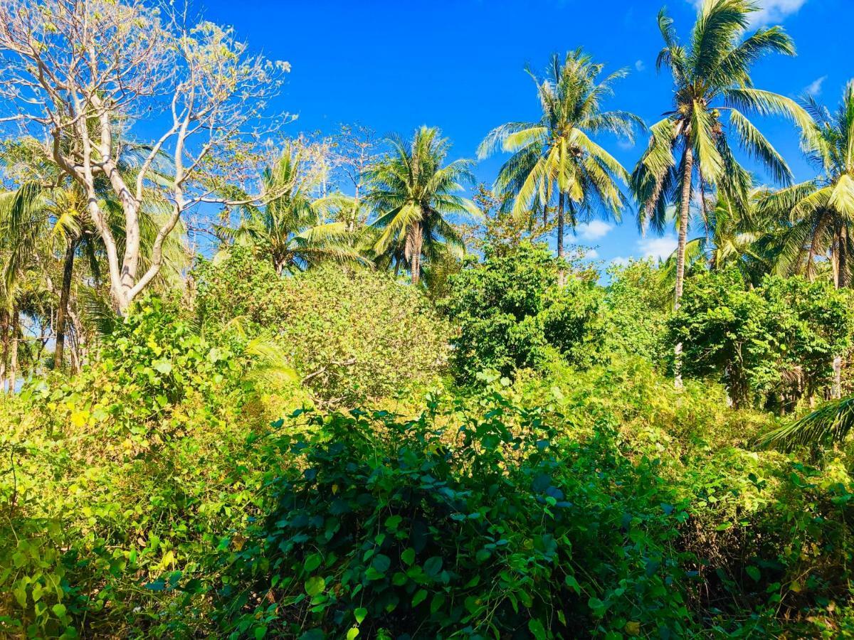 Reggae Island Private Island Koh Phayam Exterior foto
